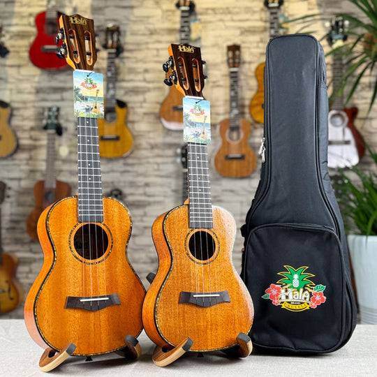 Akustik-Ukulele 23 Zoll für Damen und Herren 3