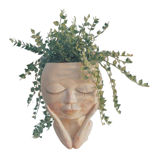 Blumentopf Mit Gesichtsmotiv Für Kreative Dekoration 5
