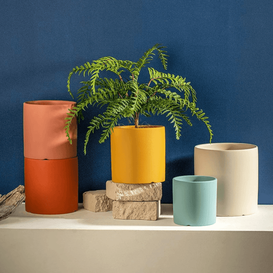 Blumentopf mit Untersetzer für Pflanzen 3