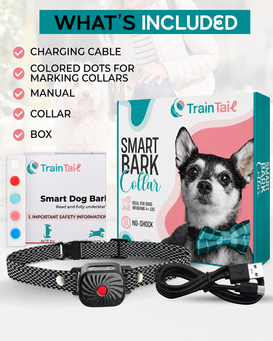 Halsband für kleine Hunde mit Ton und Vibration