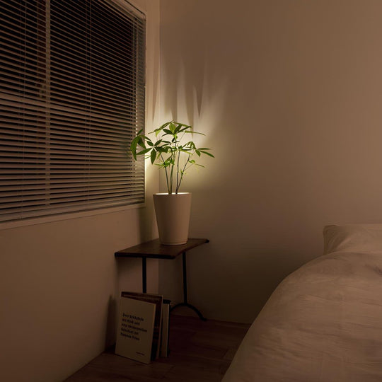 Drahtloser LED-Spotlight für vielseitige Beleuchtung 8