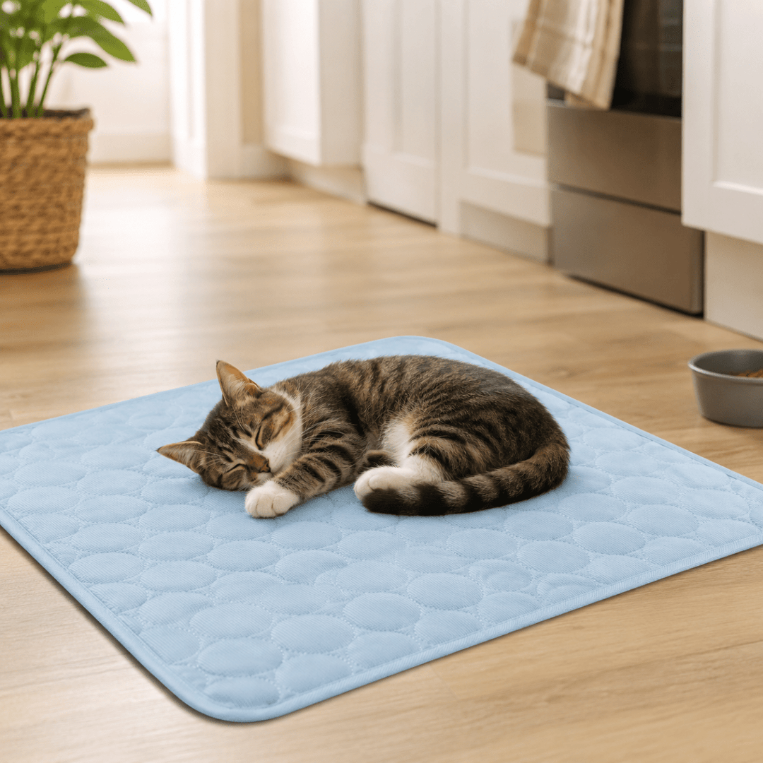 Extra Großes Kühlendes Ruhebett für Hunde und Katzen 2