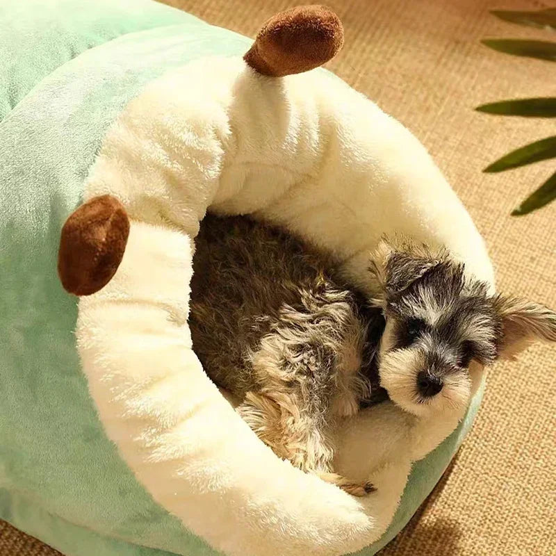 Faltbares Hundebett für ultimativen Komfort 4
