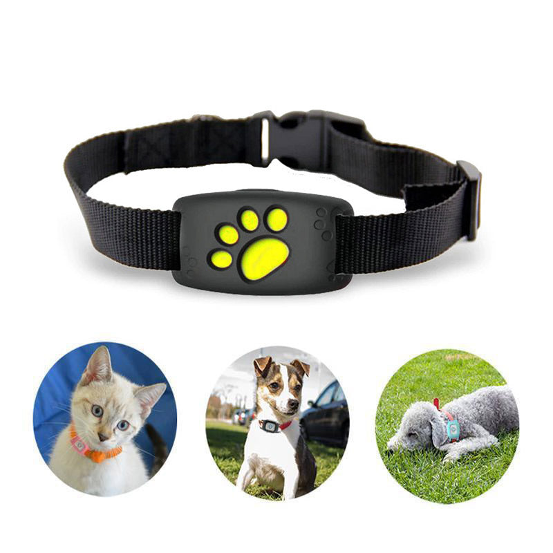 GPS Katzenhalsband mit Echtzeit-Tracking 4