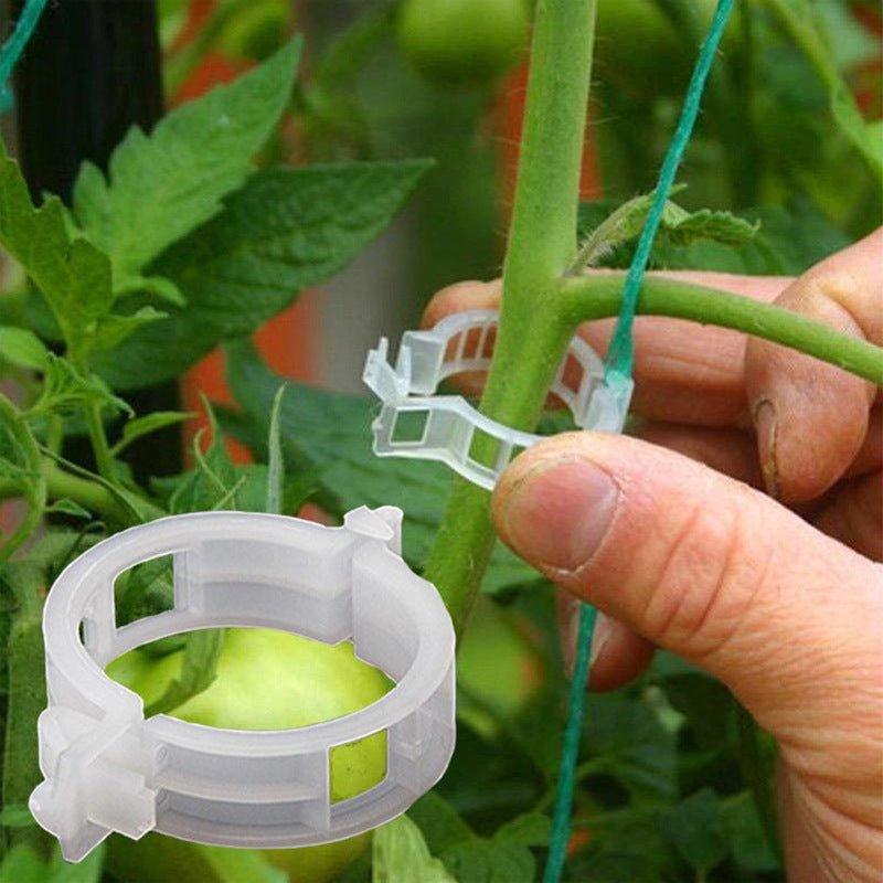Garten Stabstabilisatoren für Kletterpflanzen 0