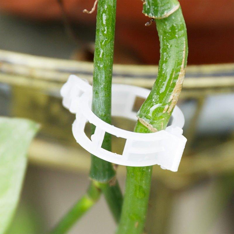 Garten Stabstabilisatoren für Kletterpflanzen 2