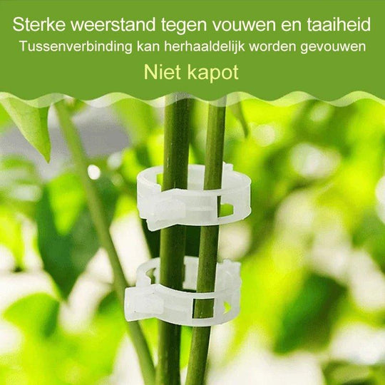 Garten Stabstabilisatoren für Kletterpflanzen 3