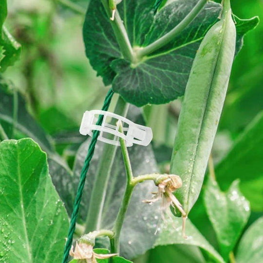 Garten Stabstabilisatoren für Kletterpflanzen 6