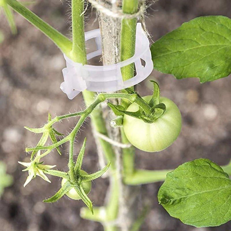 Garten Stabstabilisatoren für Kletterpflanzen 7