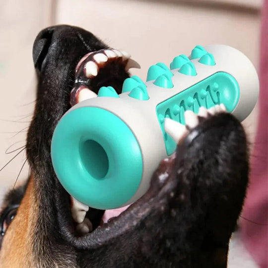 Hund Kauspielzeug für Zahnpflege Mit 360-Grad-Zahnreiniger Und Variierenden Spitzen 2