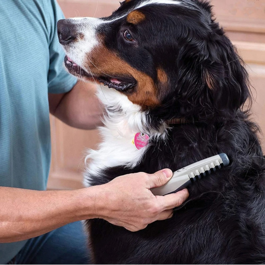 Hunde- und Katzenpflege Trimmer für mühelose Fellpflege 1