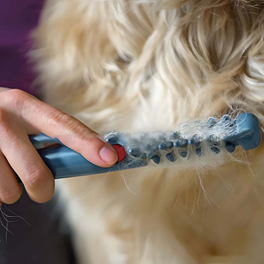 Hunde- und Katzenpflege Trimmer für mühelose Fellpflege 2