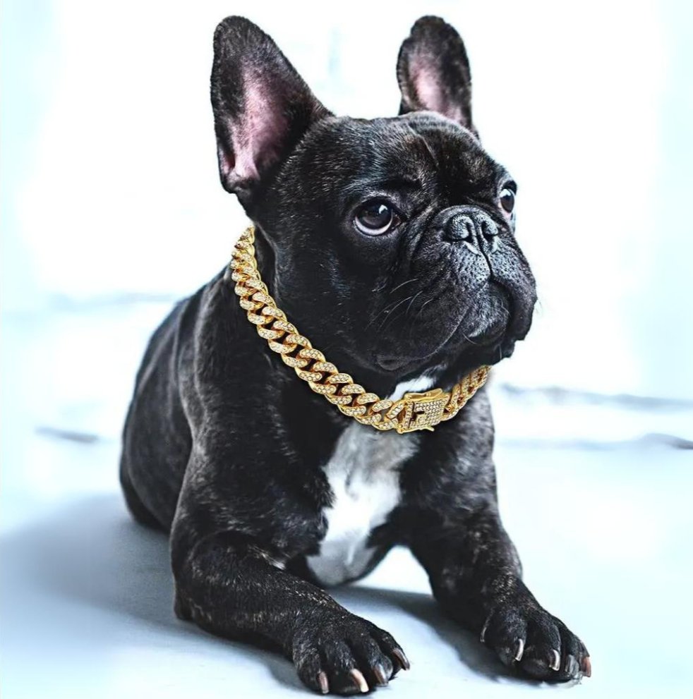 Hunde Goldkettenhalsband Stilvoll 0