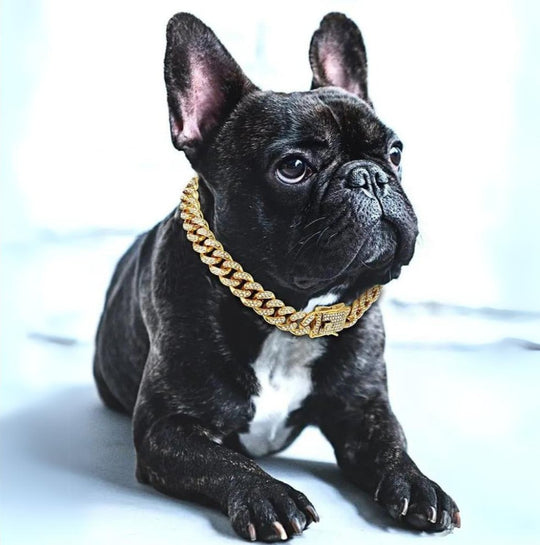 Hunde Goldkettenhalsband Stilvoll 0