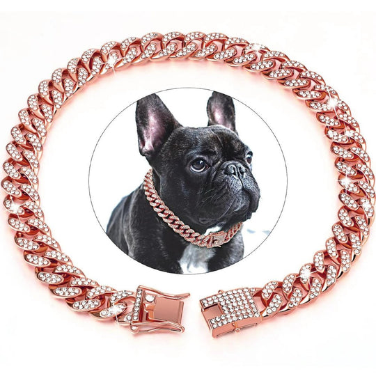 Hunde Goldkettenhalsband Stilvoll 2