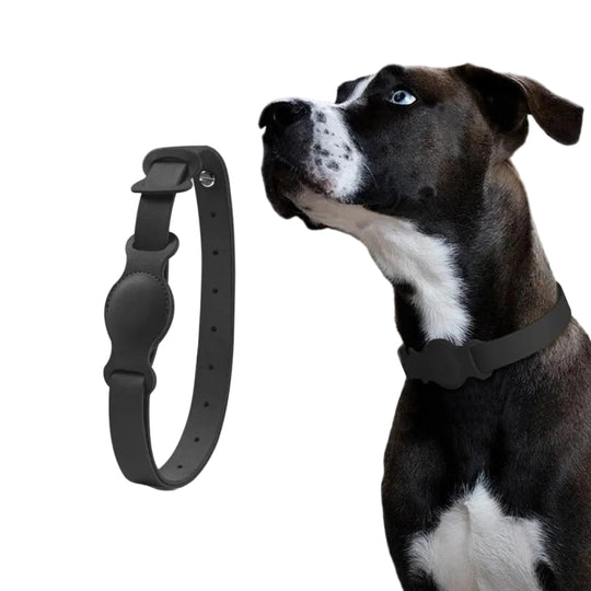 Hunde Halsband Mit AirTag-Halterung Praktisch Und Stilvoll 0