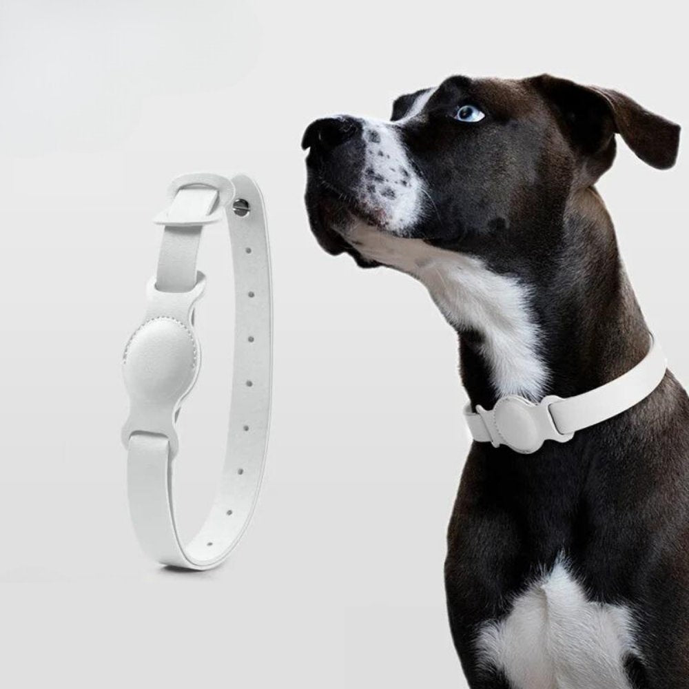 Hunde Halsband Mit AirTag-Halterung Praktisch Und Stilvoll 3
