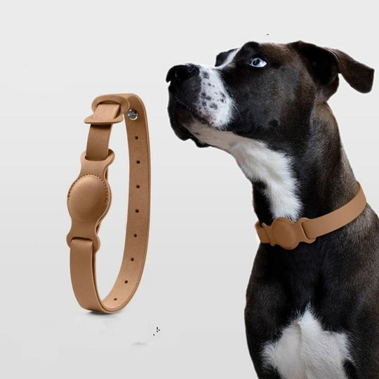 Hunde Halsband Mit AirTag-Halterung Praktisch Und Stilvoll 4