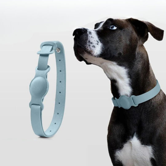 Hunde Halsband Mit AirTag-Halterung Praktisch Und Stilvoll 5