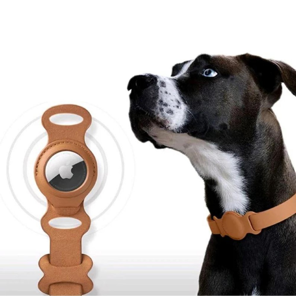 Hunde Halsband Mit AirTag-Halterung Praktisch Und Stilvoll 6