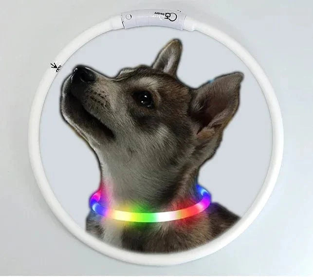 Hunde LED Halsband mit USB Aufladung 0