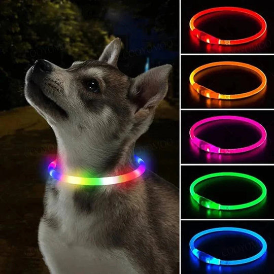 Hunde LED Halsband mit USB Aufladung 1