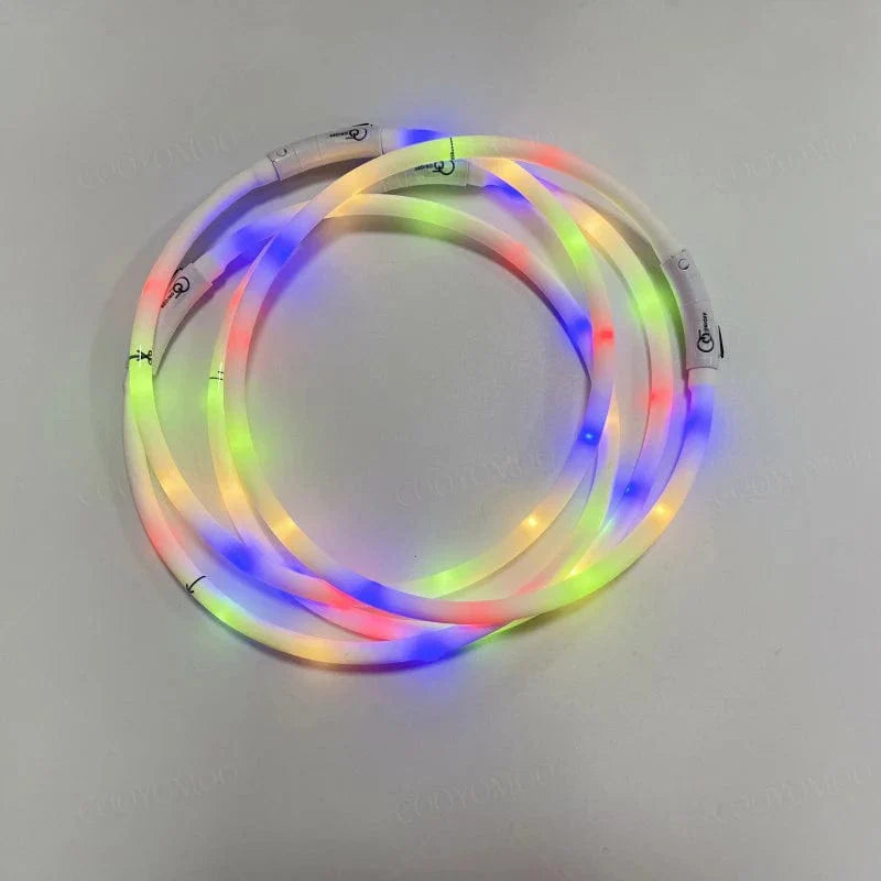 Hunde LED Halsband mit USB Aufladung 2