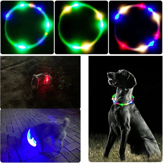 Hunde LED Halsband mit USB Aufladung 4
