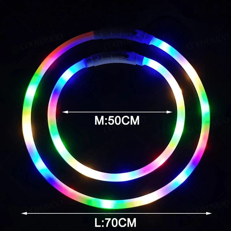 Hunde LED Halsband mit USB Aufladung 5