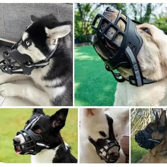Hunde Maulkorb für sicheres Verhalten 8