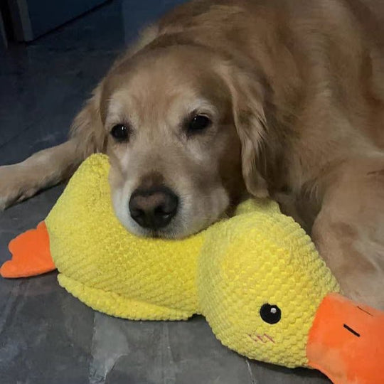 Hunde Spielzeug Quackende Ente Beschäftigung Für Aktives Spielverhalten 7