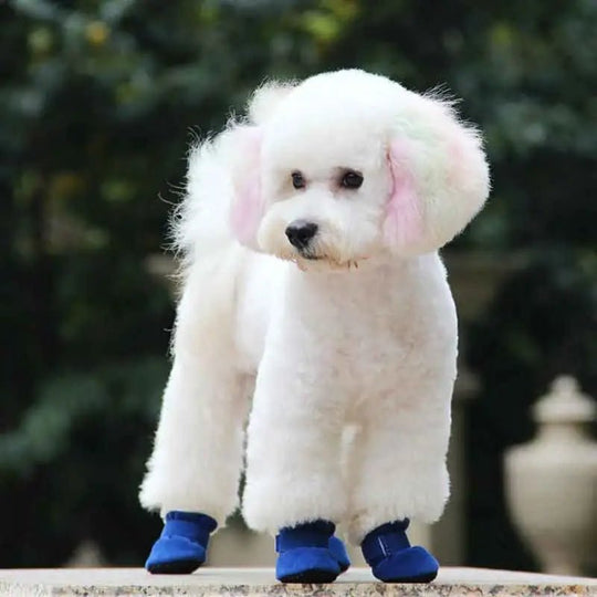 Hunde Stiefel Wasserdicht und Rutschfest 1