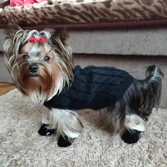 Hunde Stiefel Wasserdicht und Rutschfest 2