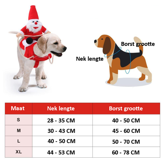 Hunde Weihnachtsoutfit Festlich 1