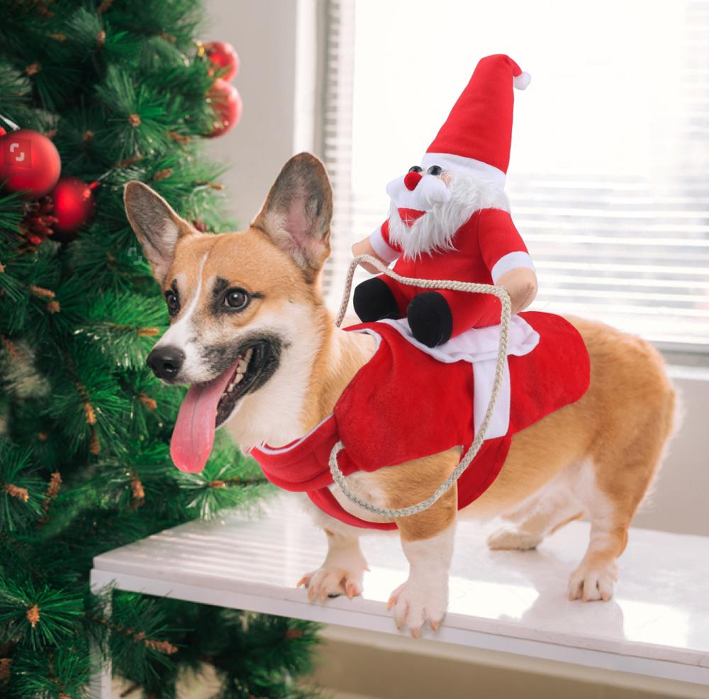 Hunde Weihnachtsoutfit Festlich 4