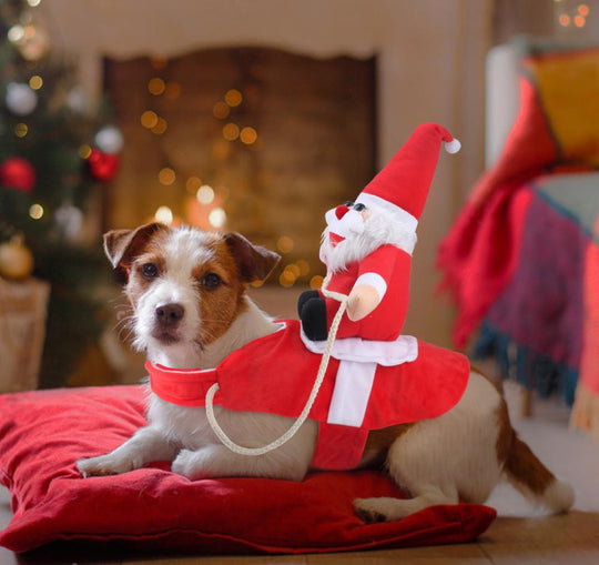 Hunde Weihnachtsoutfit Festlich 5