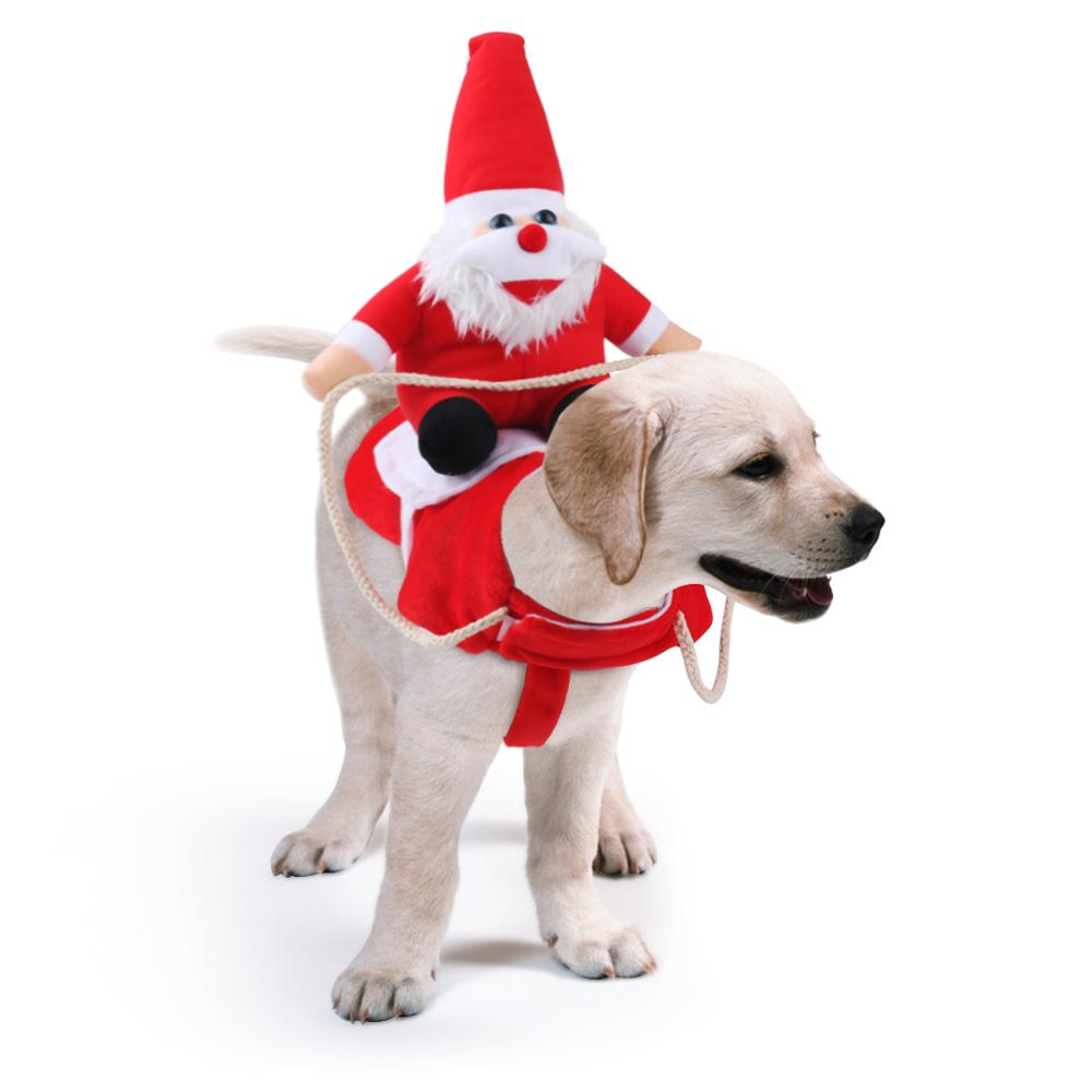 Hunde Weihnachtsoutfit Festlich 6