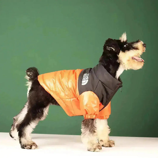 Hunde Winterjacke mit Kordelzug 7
