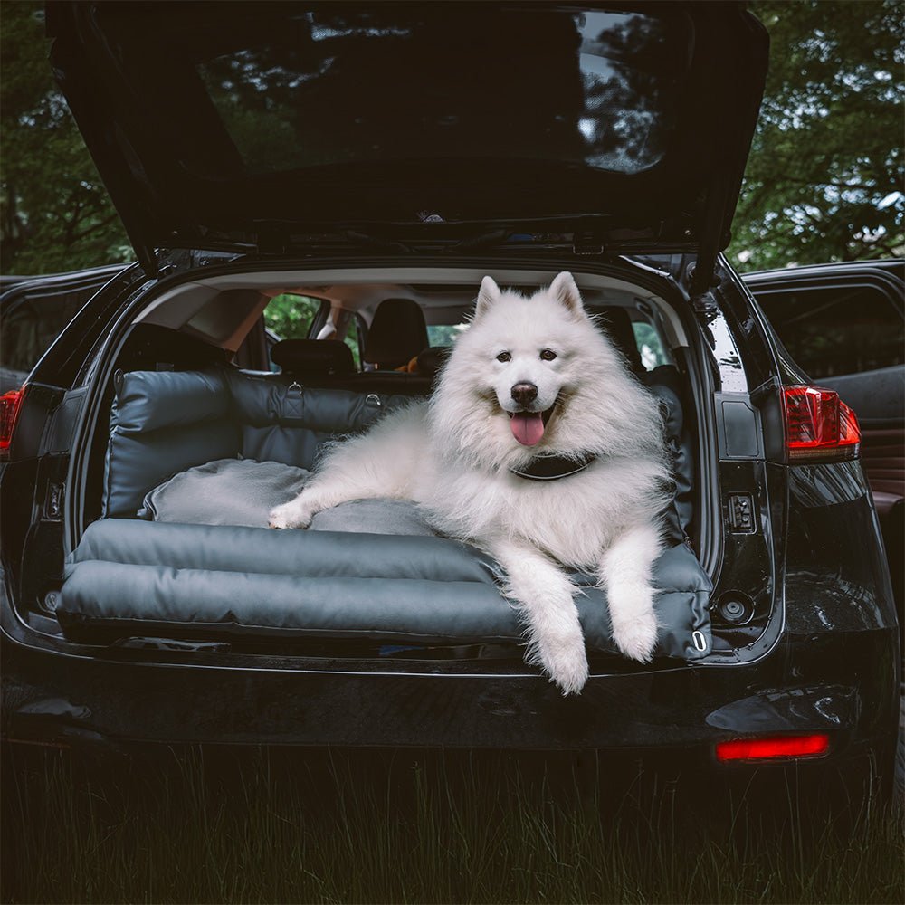 Hundeautositzbett Groß für Reisen 1