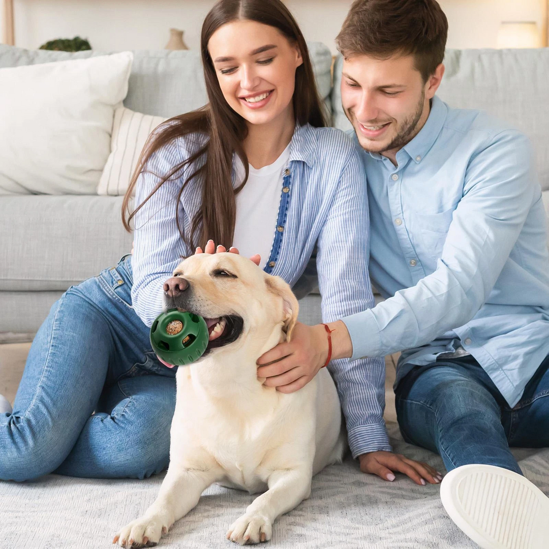 Hundeball für Snacks und Spielspaß 1