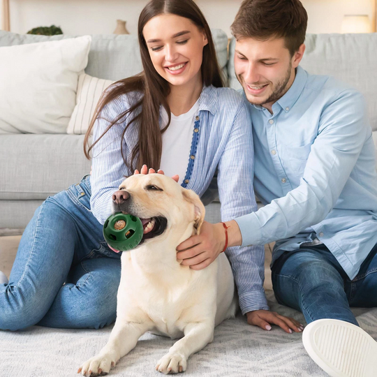 Hundeball für Snacks und Spielspaß 1