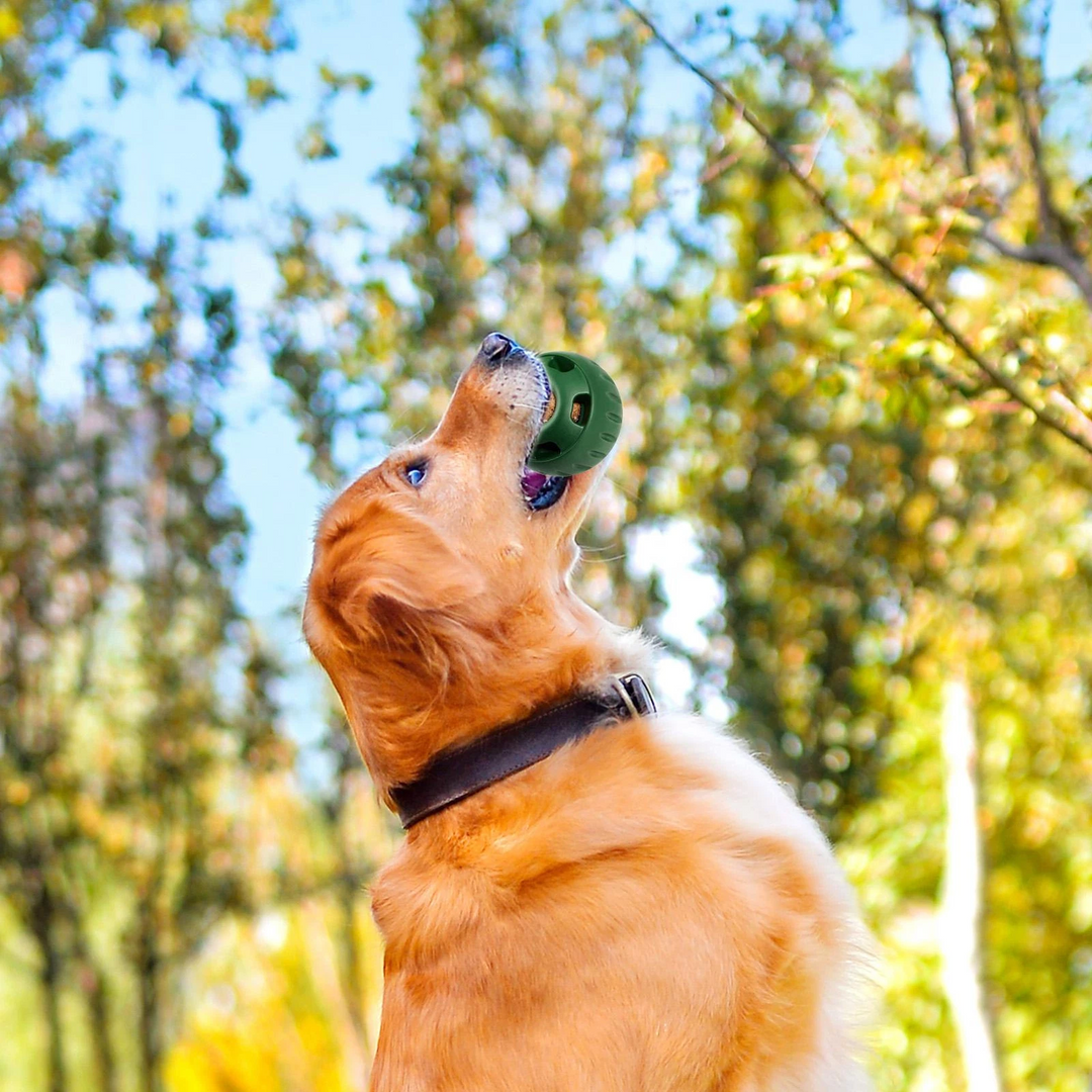 Hundeball für Snacks und Spielspaß 2