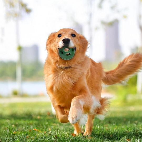 Hundeball für Snacks und Spielspaß 3