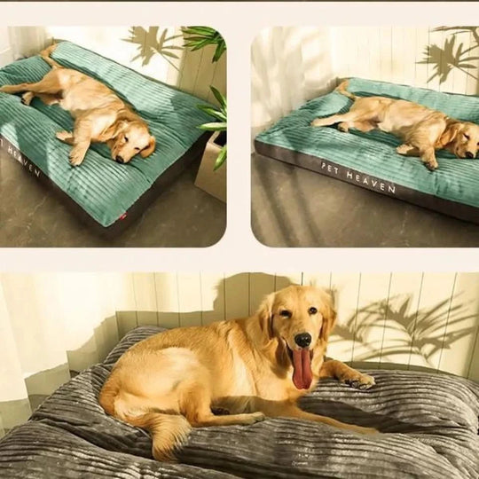 Hundebett Komfortabel für Entspannte Nächte - Weiches Hundekissen mit Abnehmbarem Bezug 2