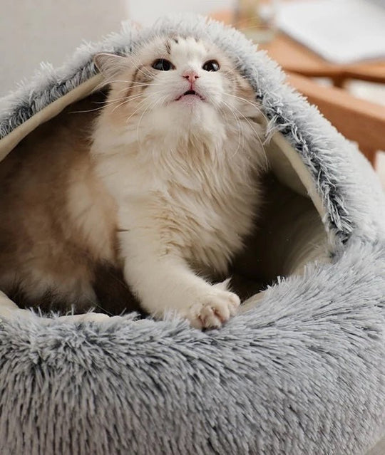 Hundebett Nest-Stil für Hunde und Katzen mit Erhöhtem Rand und Rutschfester Unterseite 1