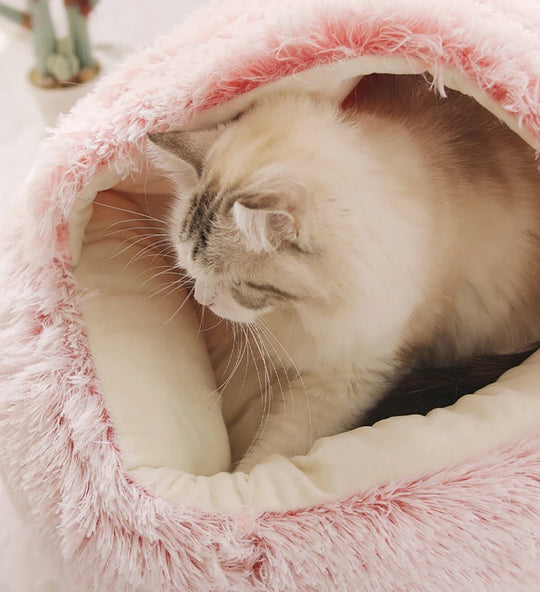Hundebett Nest-Stil für Hunde und Katzen mit Erhöhtem Rand und Rutschfester Unterseite 3