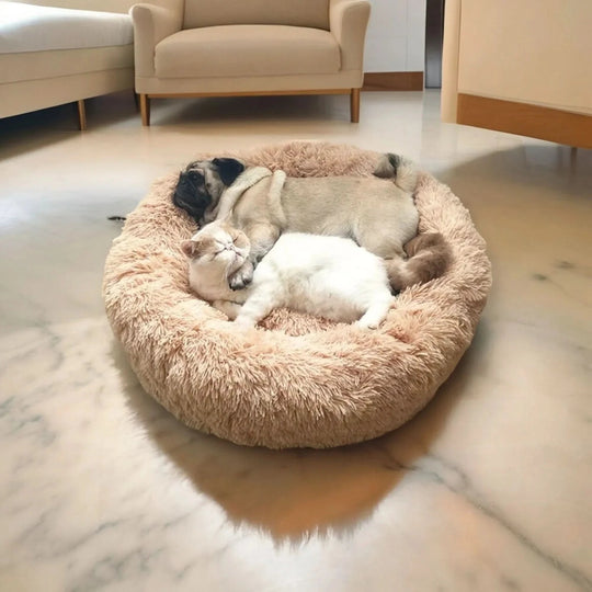 Hundebett für erholsamen Schlaf 1