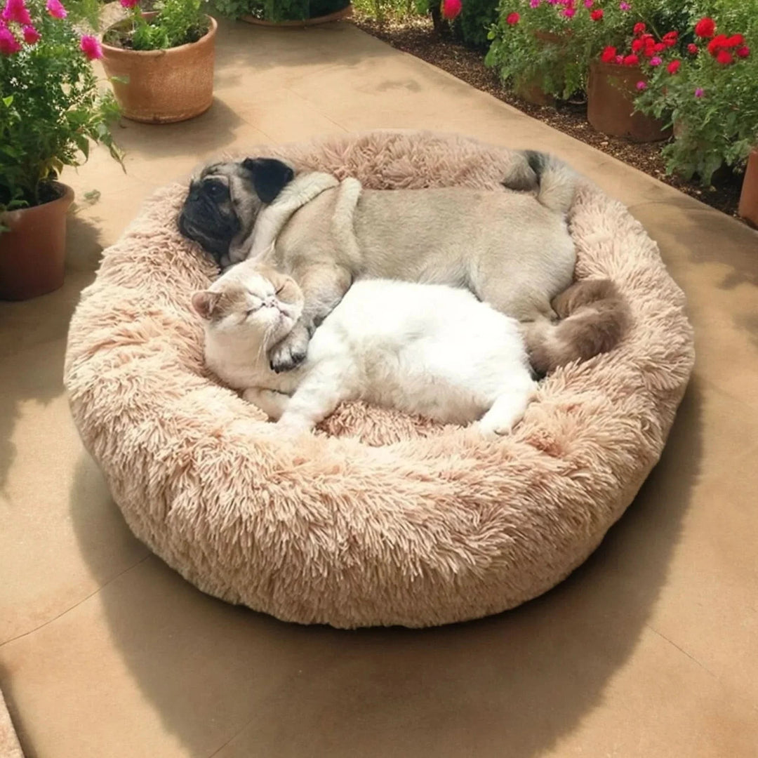 Hundebett für erholsamen Schlaf 3