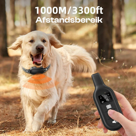 Hundehalsband Trainingsgerät mit Fernbedienung 2