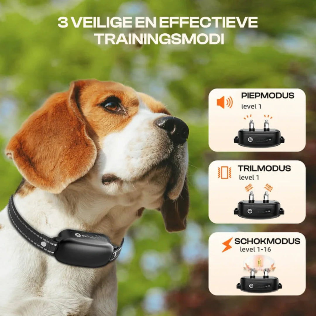 Hundehalsband Trainingsgerät mit Fernbedienung 3